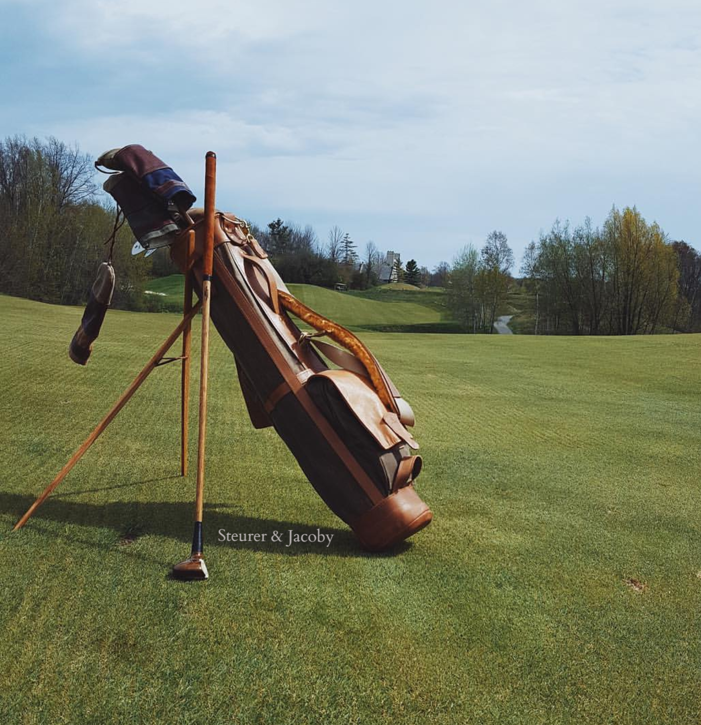 Hickory Golf Style Bag Stand